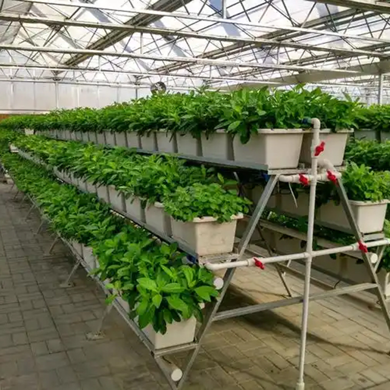 陇南市植物工厂玻璃温室 - 价格